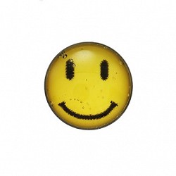 Kolczyki obrazek happy face sys. 75