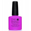 Future Fuchsia Art Vandal Collection Shellac